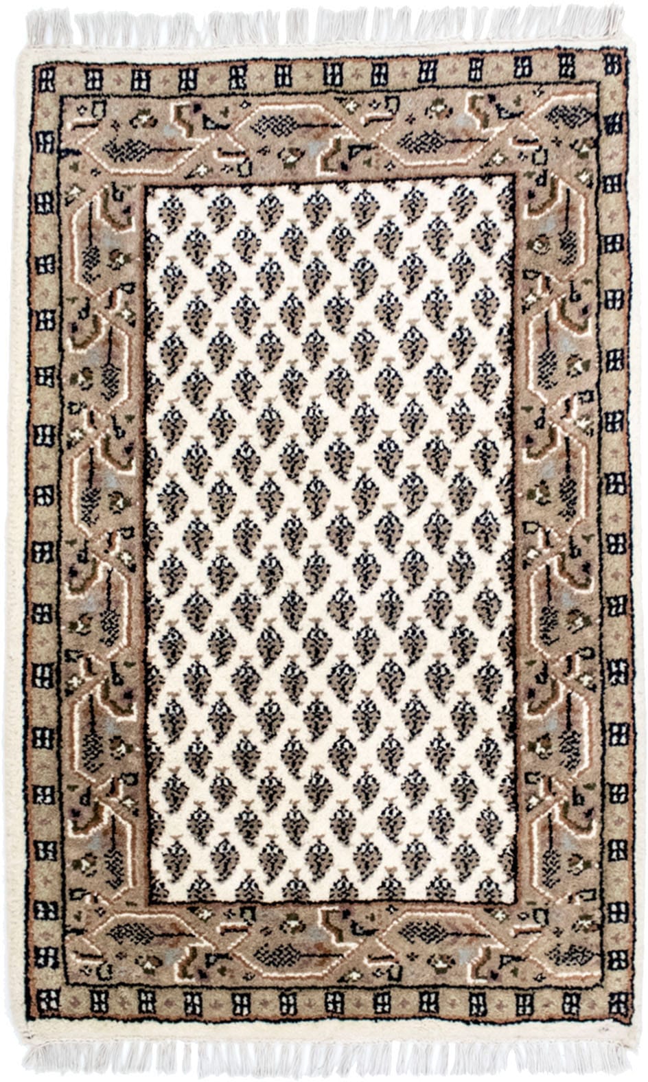 morgenland Wollteppich »Mir Teppich Assona«, rechteckig, 8 mm Höhe morgenland Wollteppich »Mir Teppich Assona«, rechteckig, 8 mm Höhe von morgenland