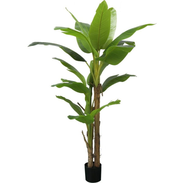 Deko Pflanze Banane grün 200 von mutoni lifestyle