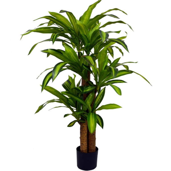 Deko Pflanze Dracaena grün 130 von mutoni lifestyle