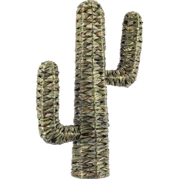 Kaktus Saguaro grün von mutoni lifestyle
