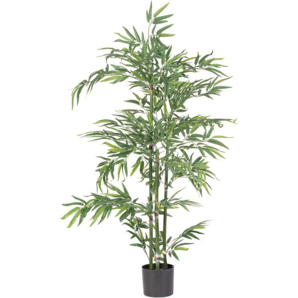 Pflanze Bambus 130 von mutoni lifestyle