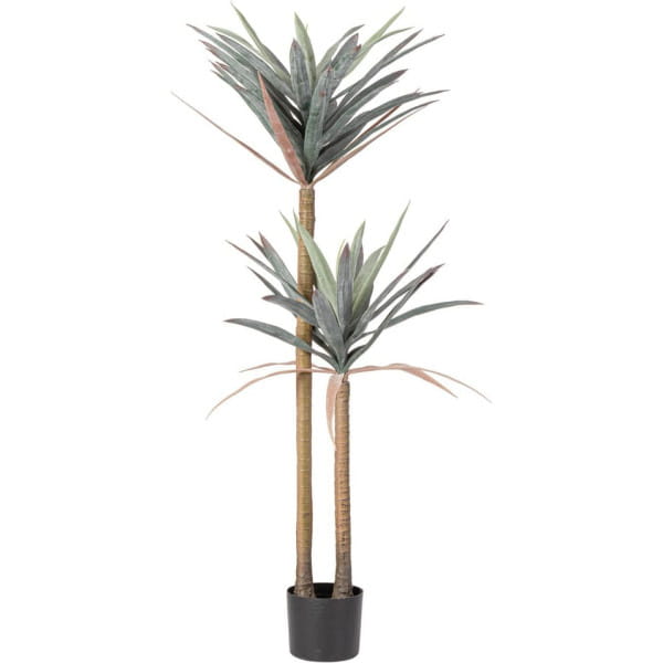 Pflanze Yucca 128 von mutoni lifestyle