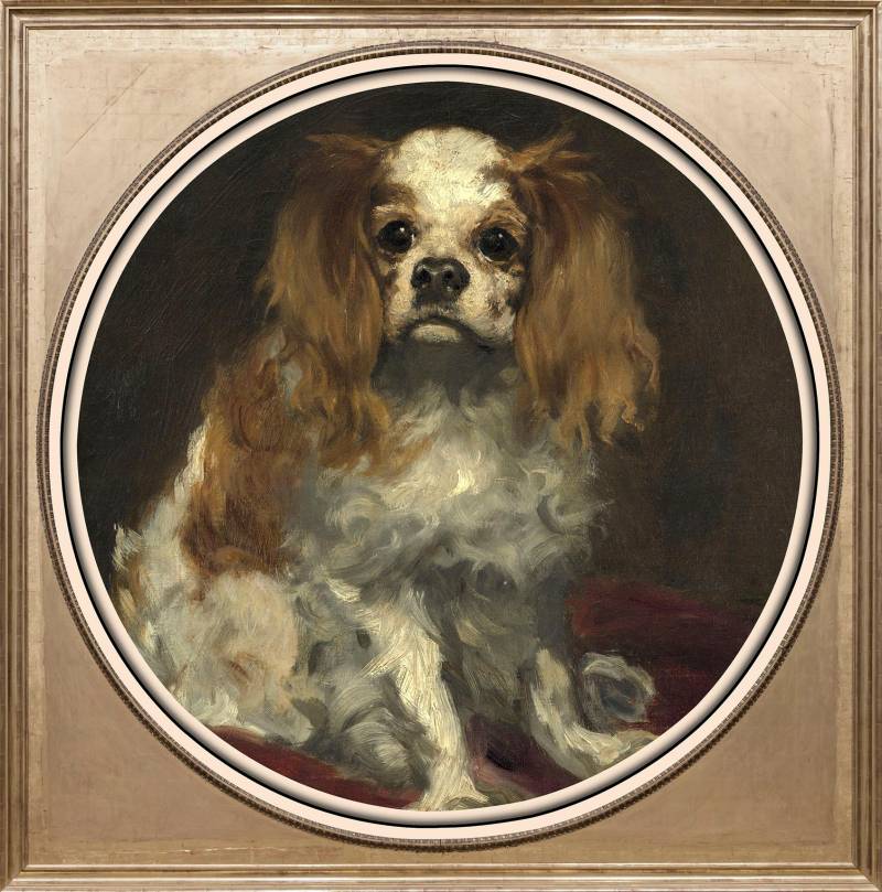 queence Acrylglasbild »Spaniel«, Kunst-Gemälde-Tiere-Hund-Hunde-Hundebilder, Fine Art-Print in Galeriequalität von queence