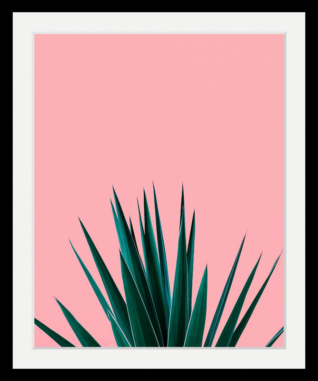 queence Bild »Palme«, Kunst-Pflanzen-Foto-Pflanzenbilder-Stechpalme, HD Premium Poster-Druck inkl. Holzrahmen von queence