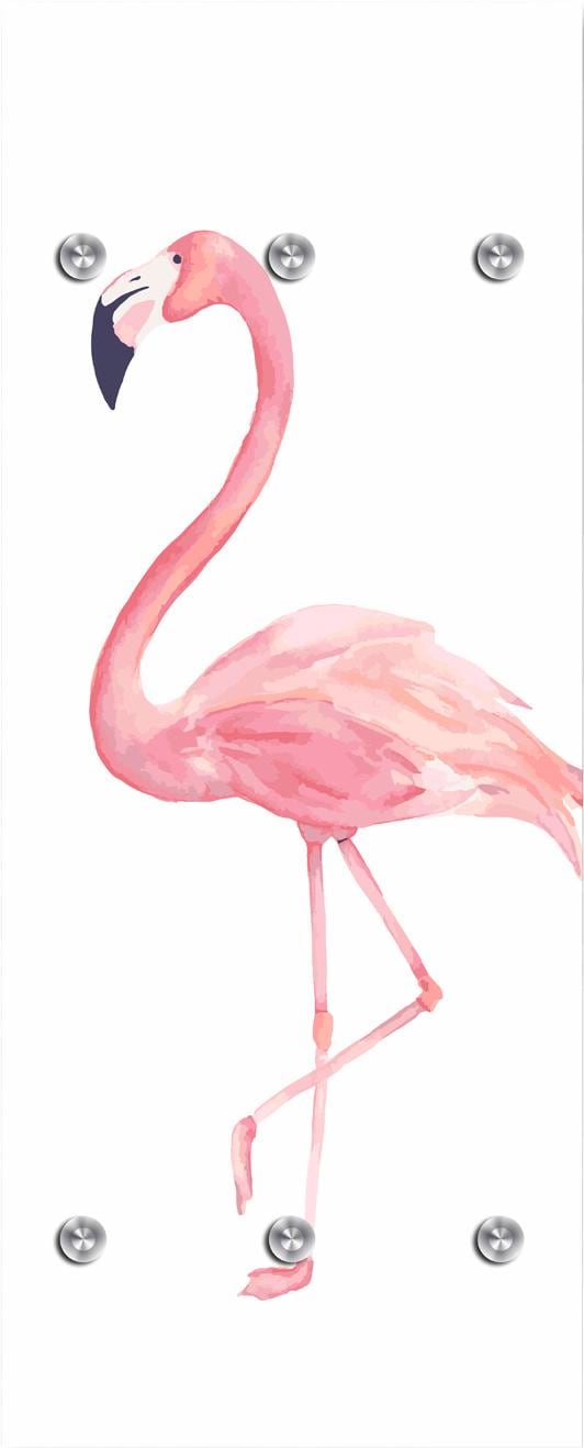 queence Garderobenleiste »Flamingo«, mit 6 Haken, 50 x 120 cm von queence