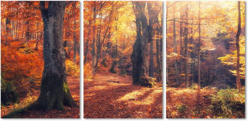 queence Acrylglasbild »Herbstwald 3-teilig«, Wald-Waldbilder-Bäume-Baum-Baumbilder-Sonnenaufgang & -untergang-Spa-Spa Bilder, (1 St.), Fine Art-Print in Galeriequalität von queence