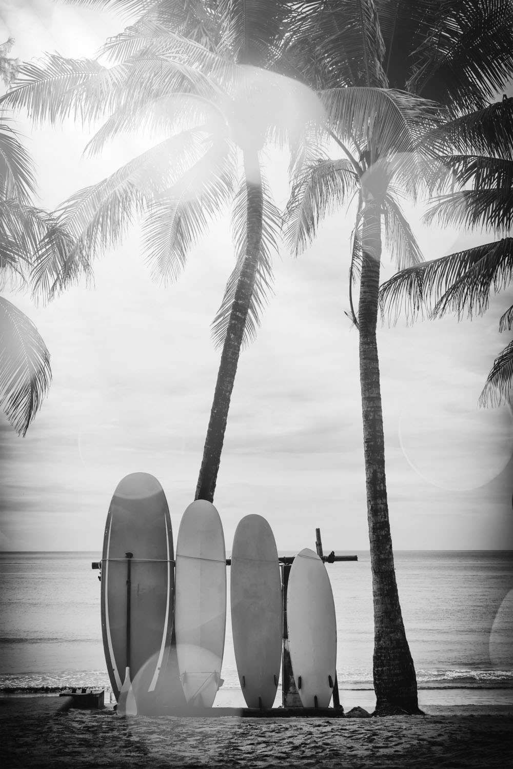 queence Acrylglasbild »Surfboards«, Kunst-Schwarz-Weiss-Strand-Palmen-Strandbilder, Fine Art-Print in Galeriequalität von queence