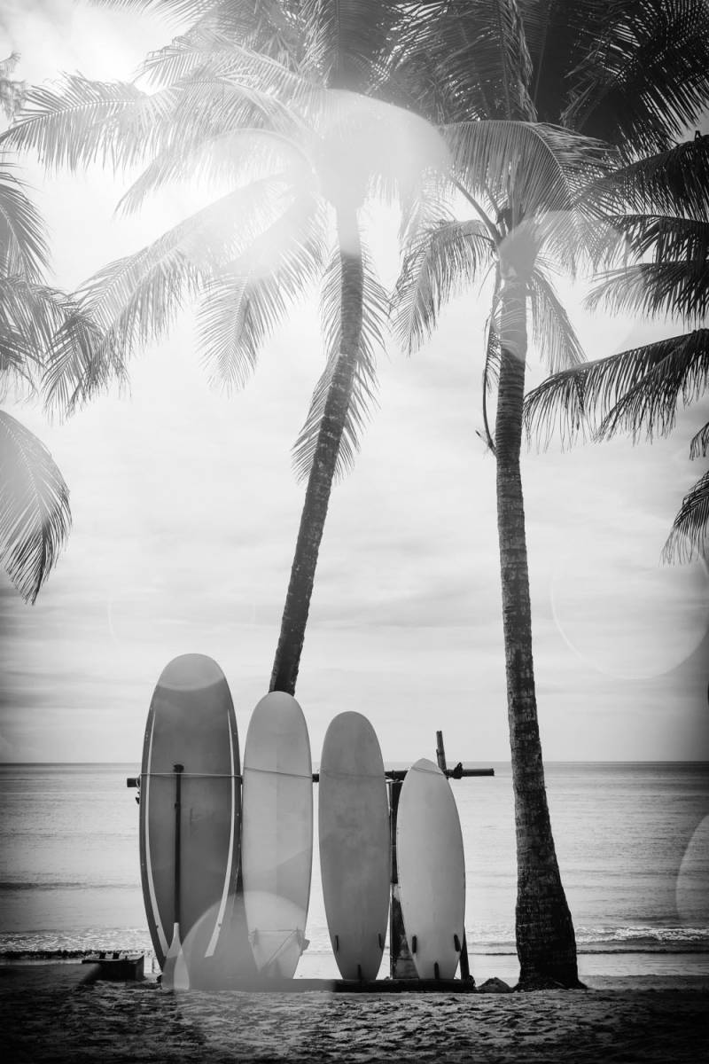 queence Acrylglasbild »Surfboards«, Kunst-Schwarz-Weiss-Strand-Palmen-Strandbilder, Fine Art-Print in Galeriequalität von queence