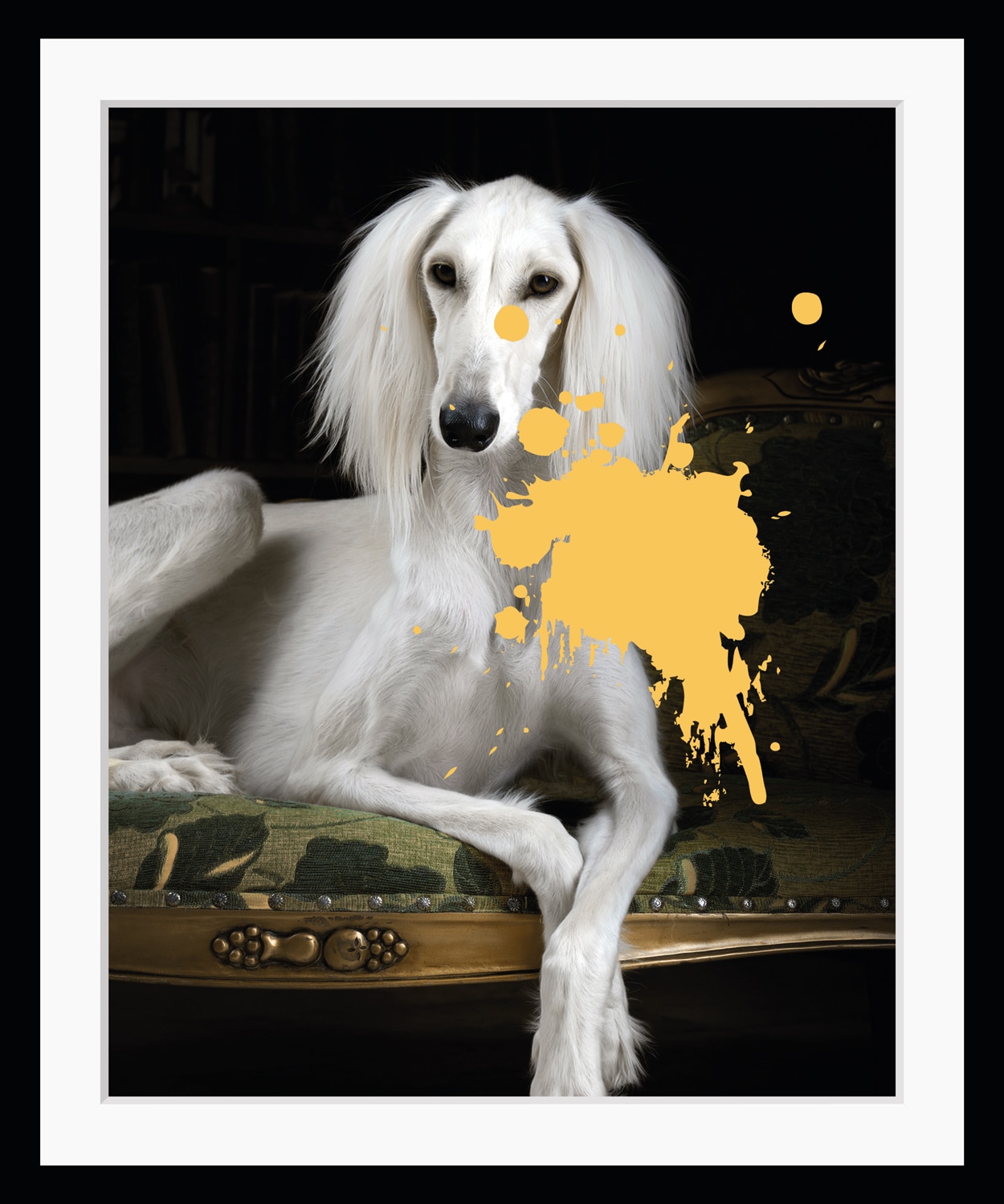 queence Bild »Pudel mit Farbklecks«, Hunde-Hund-Hundebilder-Haustiere, HD Premium Poster-Druck inkl. Holzrahmen queence Bild »Pudel mit Farbklecks«, Hunde-Hund-Hundebilder-Haustiere, HD Premium Poster-Druck inkl. Holzrahmen von queence