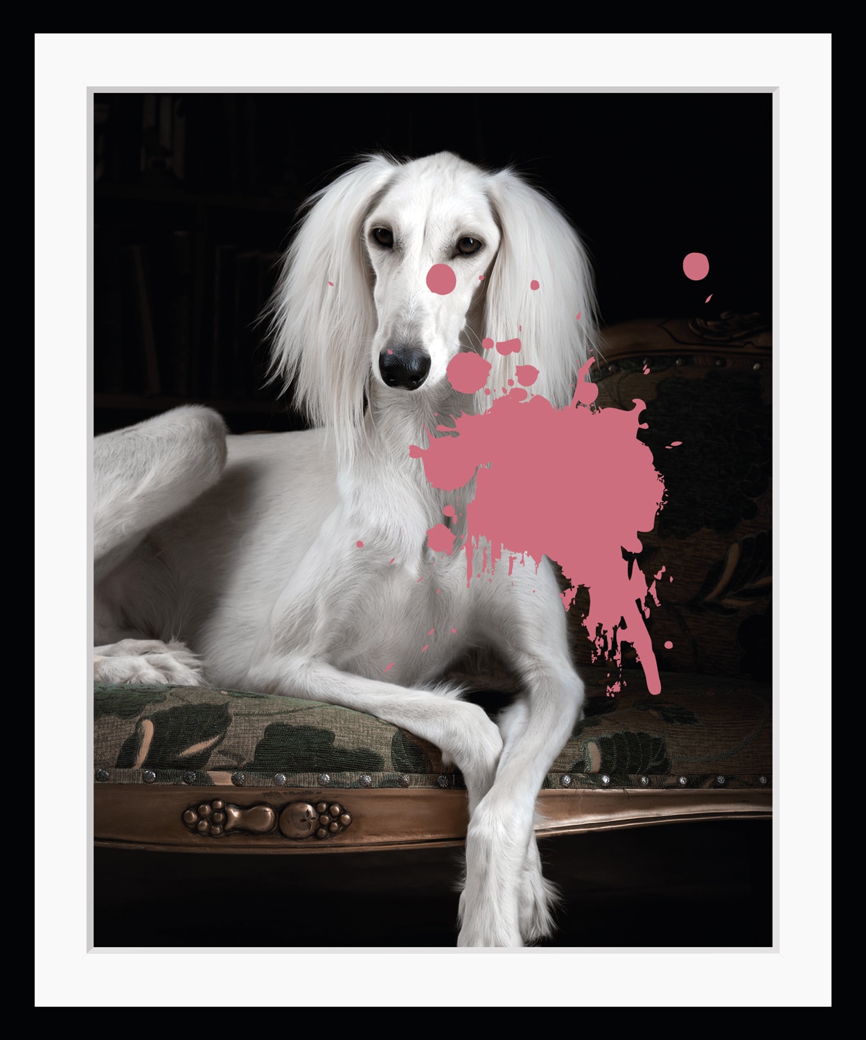queence Bild »Pudel mit Farbklecks«, Hunde-Hund-Hundebilder-Haustiere-Humor, HD Premium Poster-Druck inkl. Holzrahmen queence Bild »Pudel mit Farbklecks«, Hunde-Hund-Hundebilder-Haustiere-Humor, HD Premium Poster-Druck inkl. Holzrahmen von queence