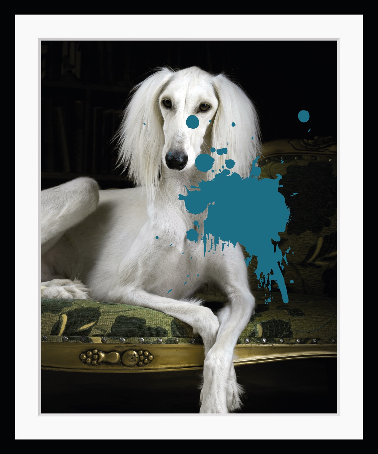 queence Bild »Hund mit Farbklecks«, Hunde-Hund-Hundebilder-Haustiere-Humor, HD Premium Poster-Druck inkl. Holzrahmen queence Bild »Hund mit Farbklecks«, Hunde-Hund-Hundebilder-Haustiere-Humor, HD Premium Poster-Druck inkl. Holzrahmen von queence