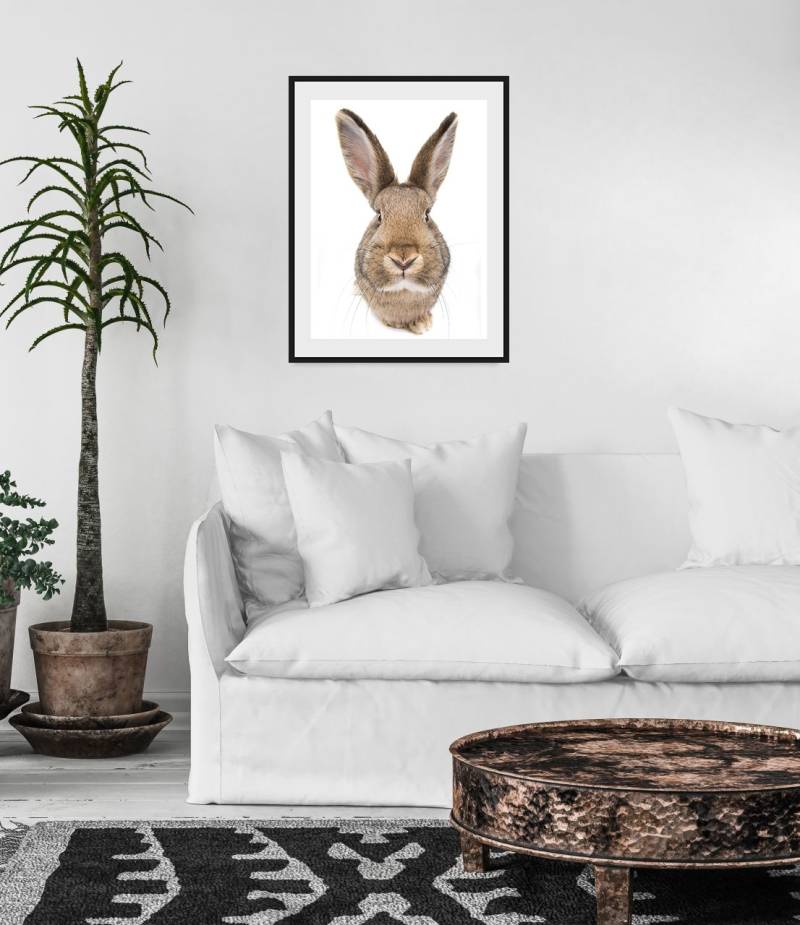 queence Bild »Algot«, Hase-Hasen-Foto-Kunst-Haustiere, (1 St.), HD Premium Poster-Druck inkl. Holzrahmen von queence