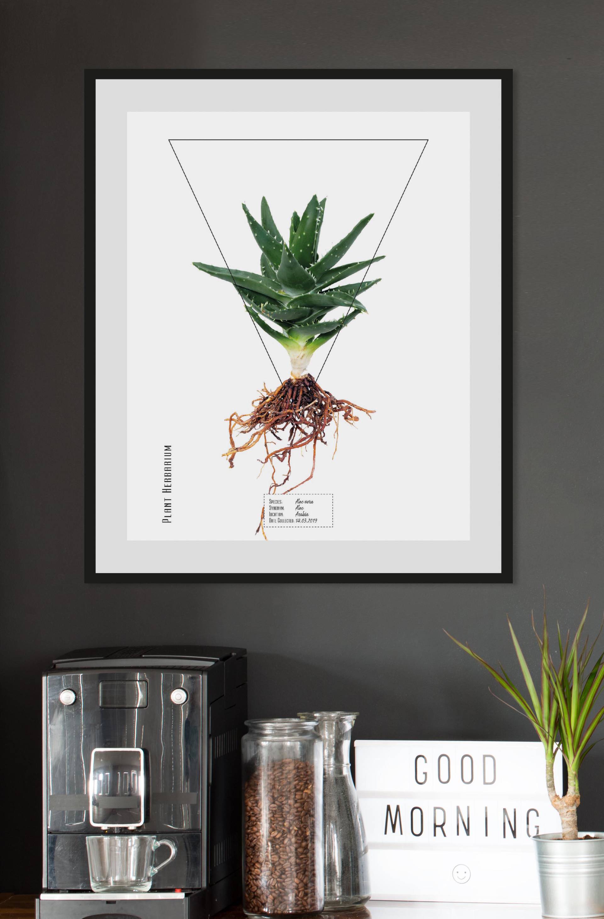 queence Bild »Aloe vera«, Pflanzen-Pflanzenbilder-Schriftzug, (1 St.), HD Premium Poster-Druck inkl. Holzrahmen von queence