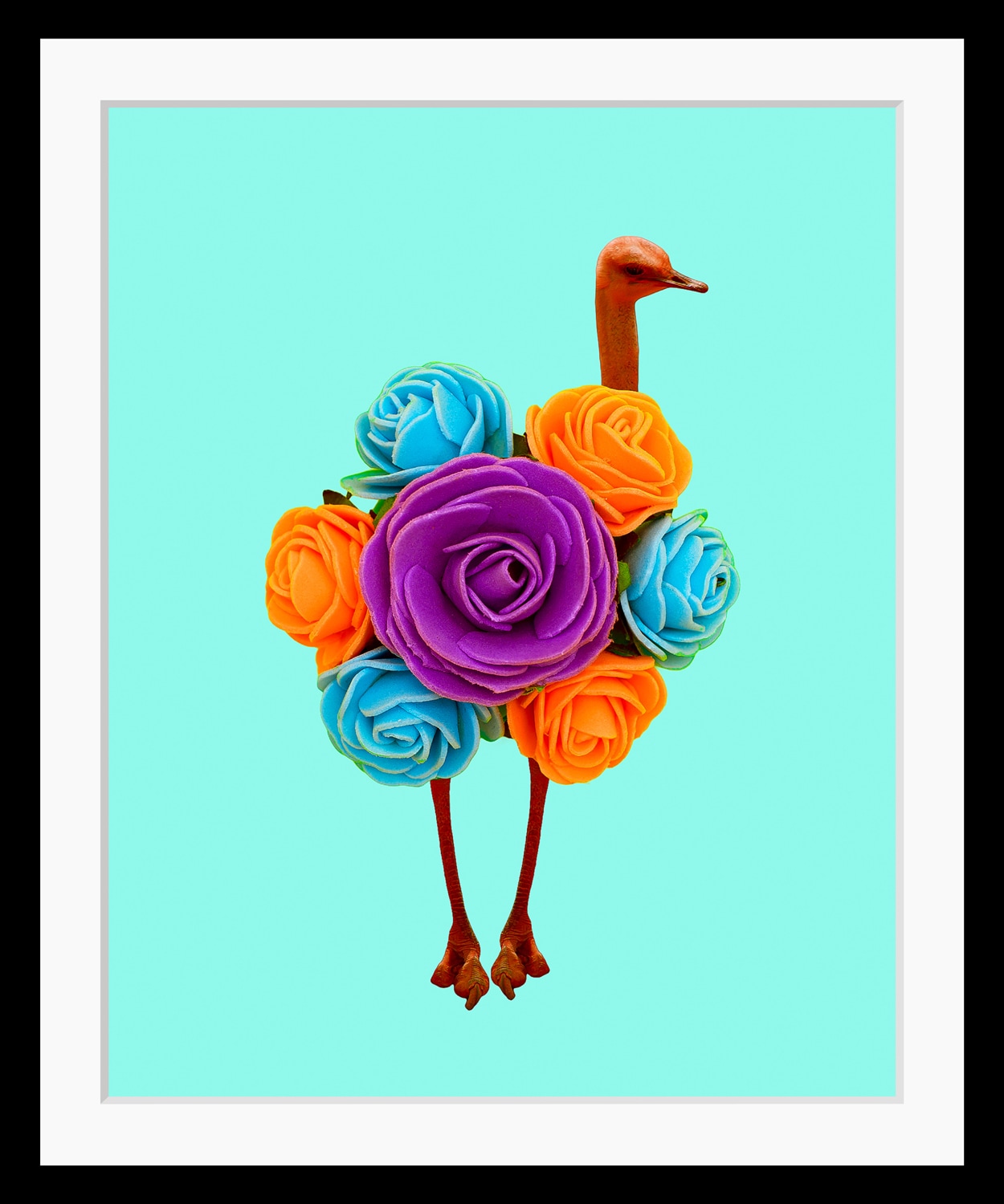 queence Bild »Amy«, Blumen-Vögel-Vogelbilder-Kunst-Humor, HD Premium Poster-Druck inkl. Holzrahmen queence Bild »Amy«, Blumen-Vögel-Vogelbilder-Kunst-Humor, HD Premium Poster-Druck inkl. Holzrahmen von queence