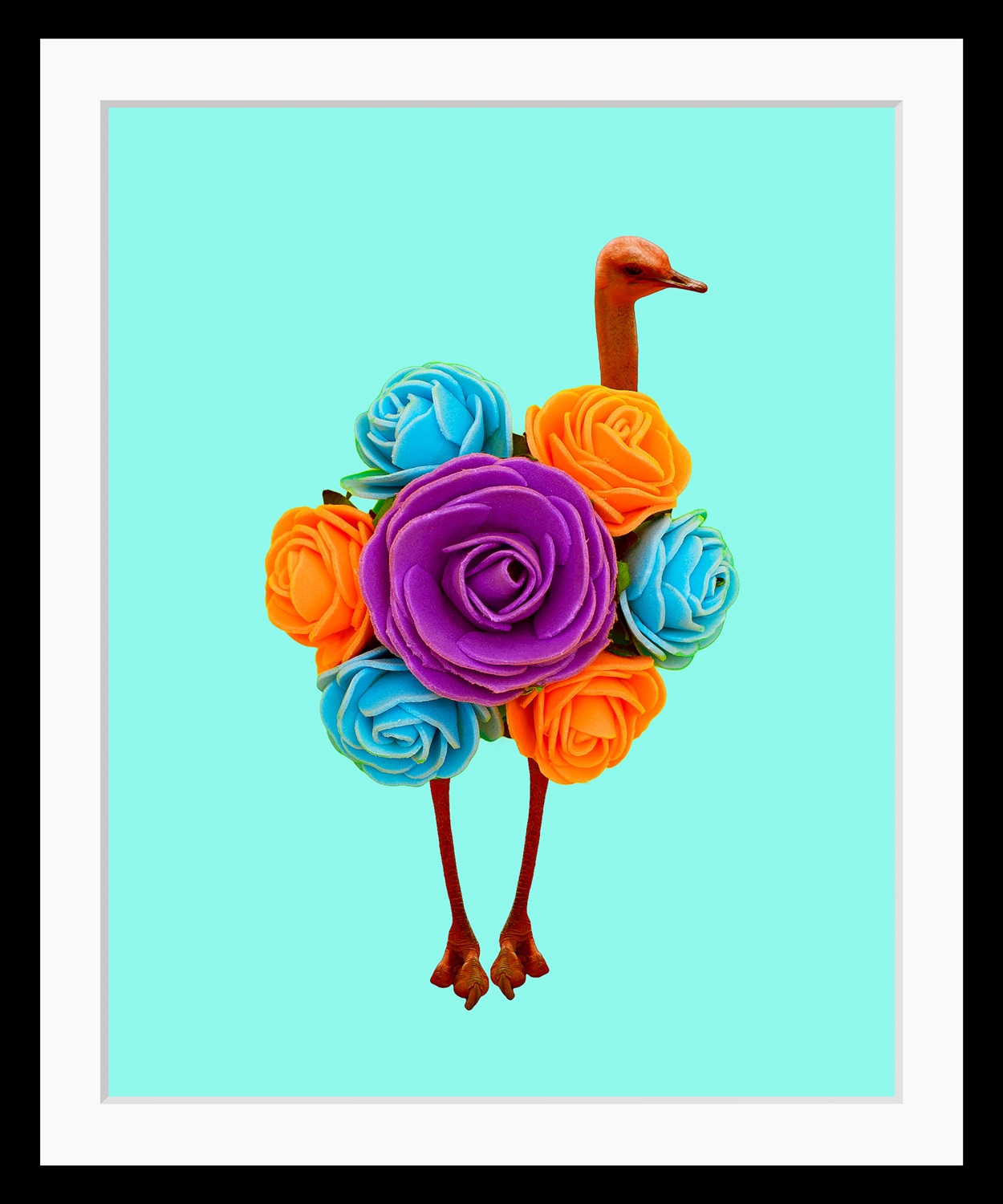 queence Bild »Amy«, Blumen-Vögel-Vogelbilder-Kunst-Humor, HD Premium Poster-Druck inkl. Holzrahmen von queence