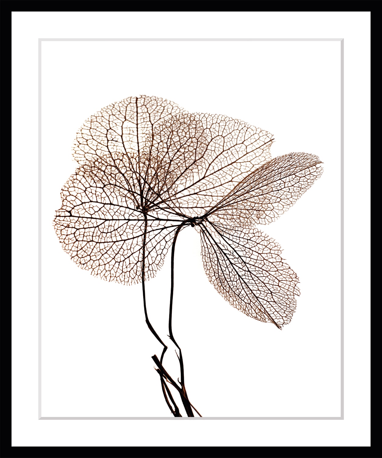 queence Bild »Annabell«, Blumen, Blumen, gerahmt queence Bild »Annabell«, Blumen, Blumen, gerahmt von queence