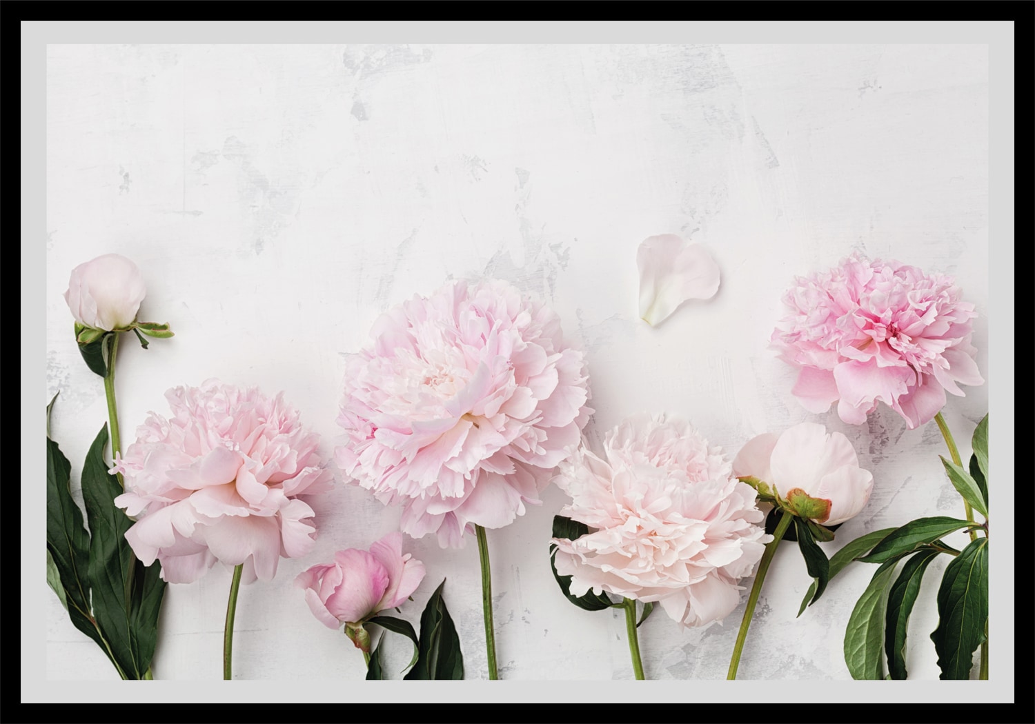 queence Bild »Bella«, Blumen, gerahmt, Rosen queence Bild »Bella«, Blumen, gerahmt, Rosen von queence