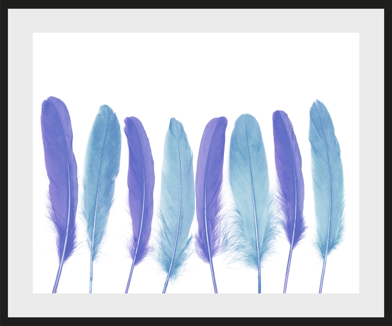 queence Bild »Bello«, Federn, gerahmt, Federn queence Bild »Bello«, Federn, gerahmt, Federn von queence