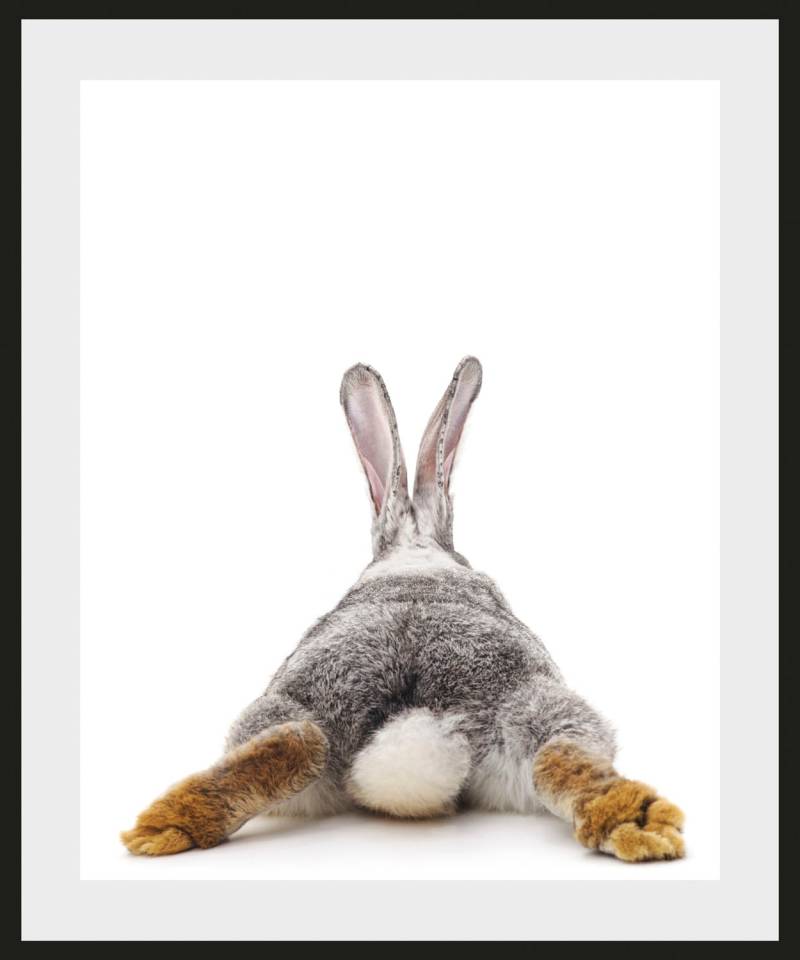 queence Bild »Bunny Tail«, Hase-Hasen-Humor-Haustiere-Foto, (1 St.), HD Premium Poster-Druck inkl. Holzrahmen von queence