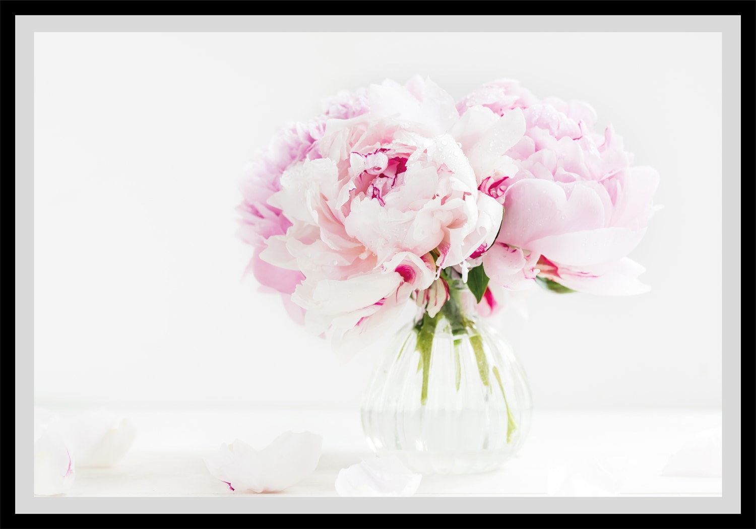 queence Bild »Carina«, Blumen, gerahmt, Rosen queence Bild »Carina«, Blumen, gerahmt, Rosen von queence