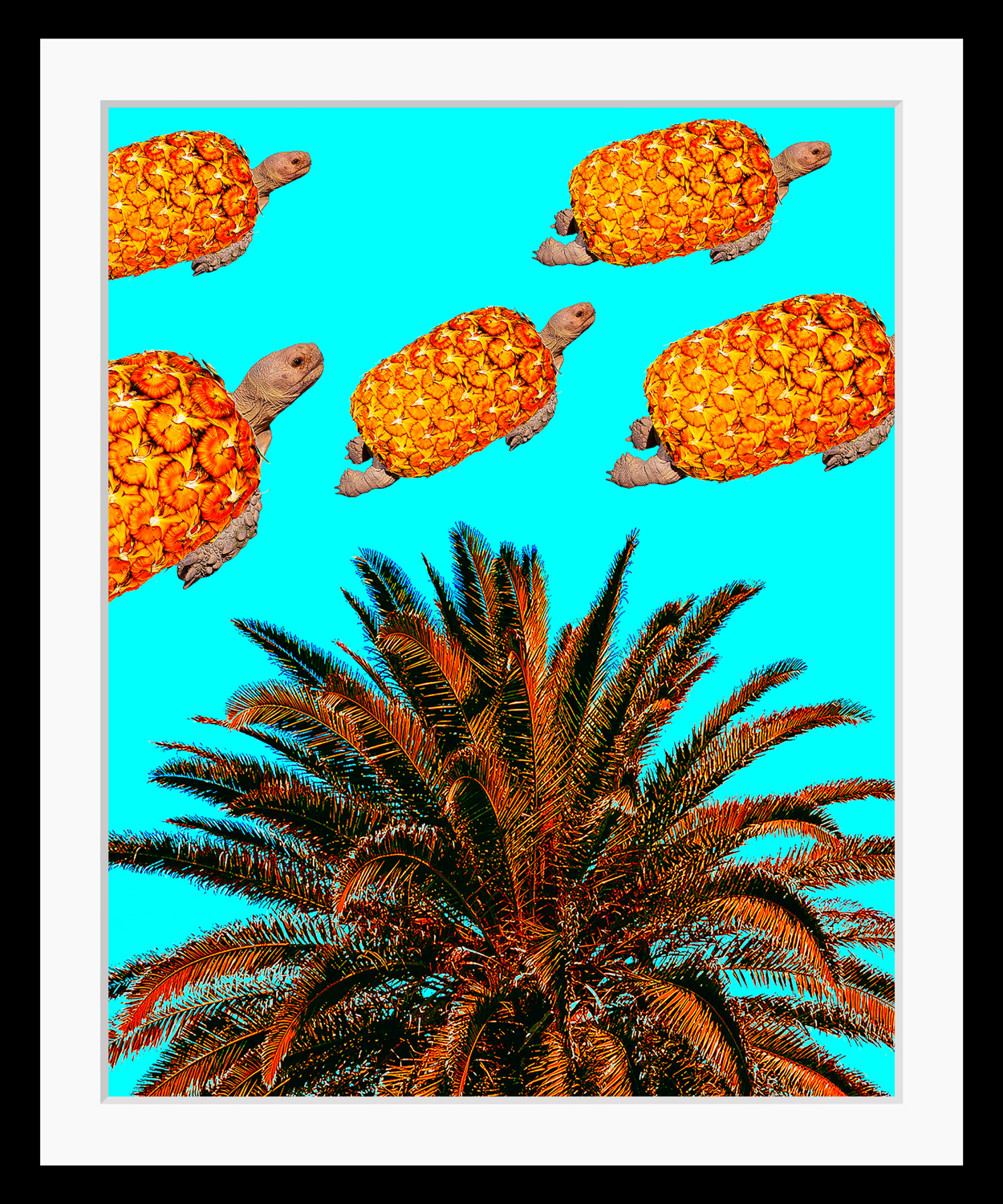 queence Bild »Carla«, Schildkröten-Tiere-Wassertiere-Ananas-Palmen, HD Premium Poster-Druck inkl. Holzrahmen queence Bild »Carla«, Schildkröten-Tiere-Wassertiere-Ananas-Palmen, HD Premium Poster-Druck inkl. Holzrahmen von queence