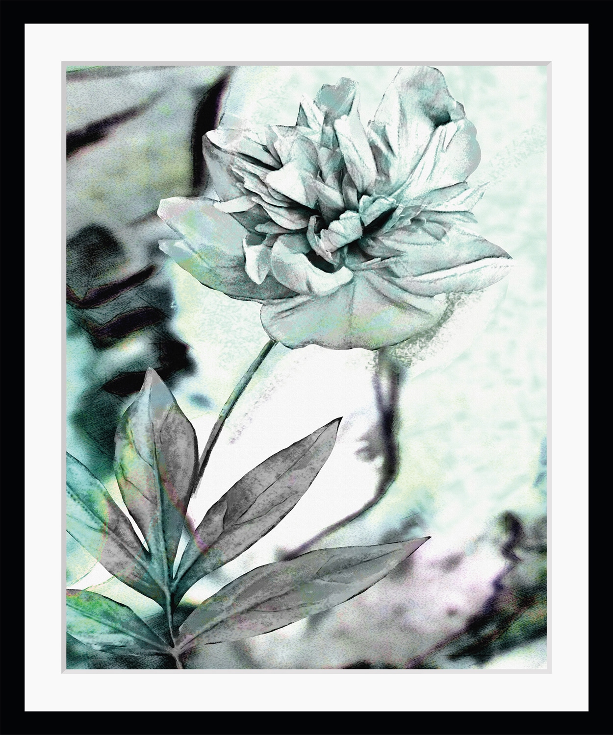 queence Bild »Christa«, Blumen, Rose, gerahmt queence Bild »Christa«, Blumen, Rose, gerahmt von queence