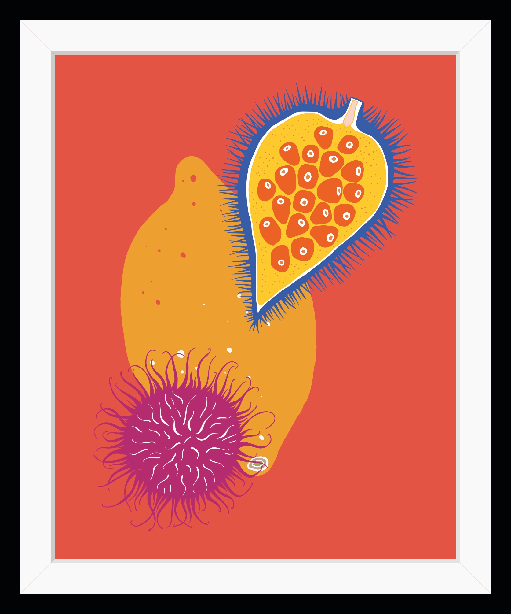 queence Bild »Daria«, Obst-Obst Bilder-Kunst-Lebensmittel, HD Premium Poster-Druck inkl. Holzrahmen queence Bild »Daria«, Obst-Obst Bilder-Kunst-Lebensmittel, HD Premium Poster-Druck inkl. Holzrahmen von queence