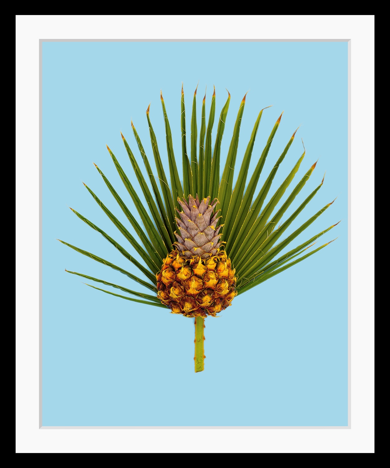 queence Bild »Diana«, Obst-Obst Bilder-Kunst-Ananas-Stechpalmen-Palmen, HD Premium Poster-Druck inkl. Holzrahmen von queence