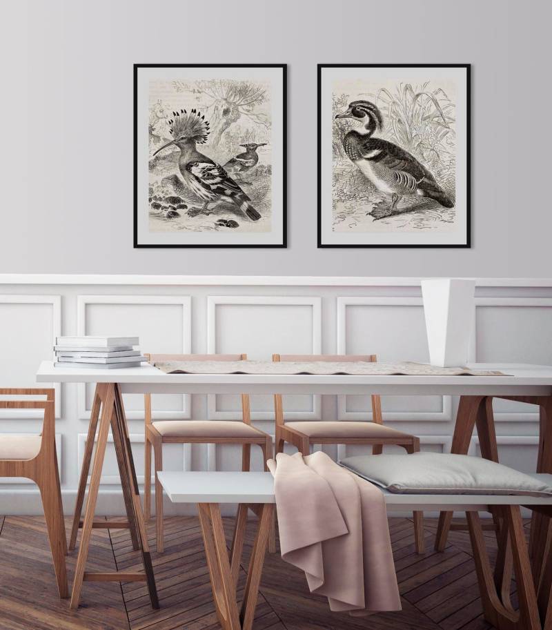 queence Bild »Donald«, Vögel-Vogelbilder-historische Ereignisse-Kunst, (1 St.), HD Premium Poster-Druck inkl. Holzrahmen von queence