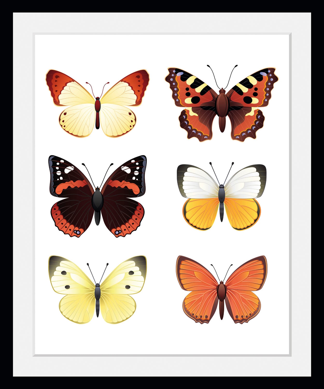 queence Bild »Elina«, Schmetterlinge-Kunst-Insekten-historische Ereignisse, (1 St.), HD Premium Poster-Druck inkl. Holzrahmen von queence