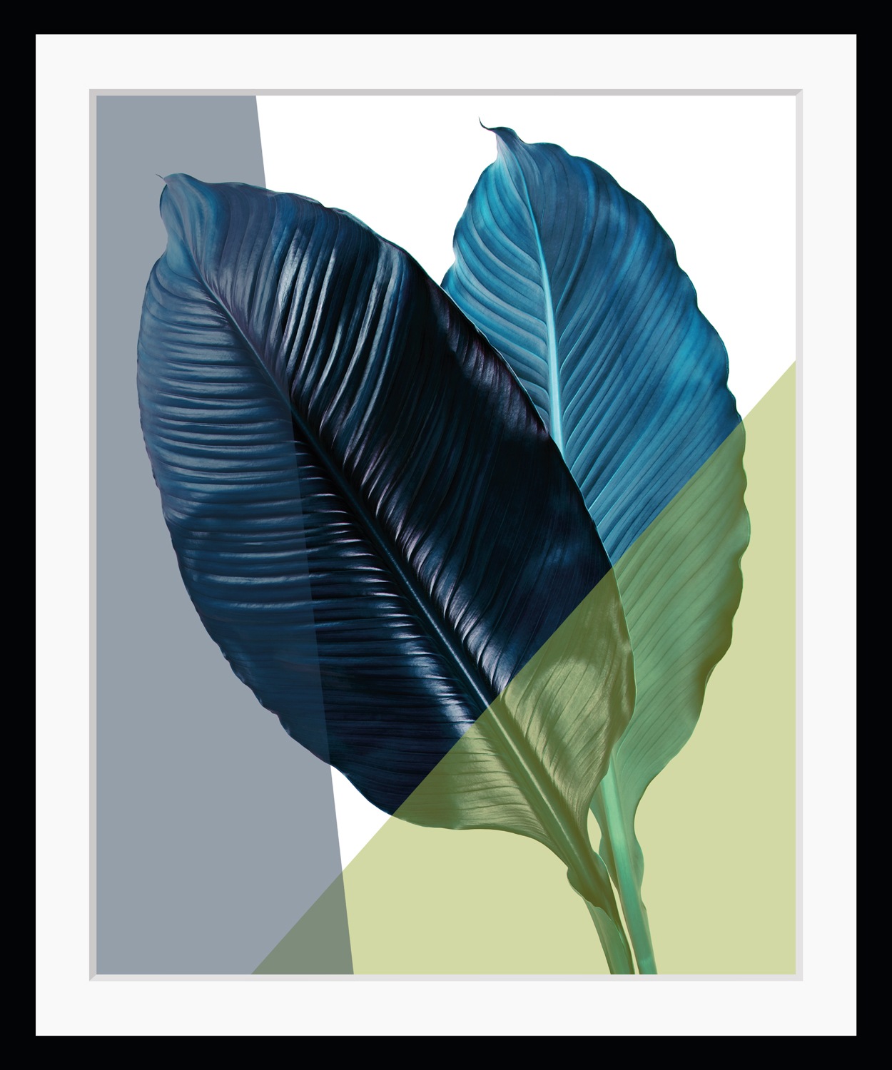 queence Bild »Elisa«, Blätter-Abstrakt-Kunst-Figuren-Pflanzen-Pflanzenbilder, HD Premium Poster-Druck inkl. Holzrahmen queence Bild »Elisa«, Blätter-Abstrakt-Kunst-Figuren-Pflanzen-Pflanzenbilder, HD Premium Poster-Druck inkl. Holzrahmen von queence