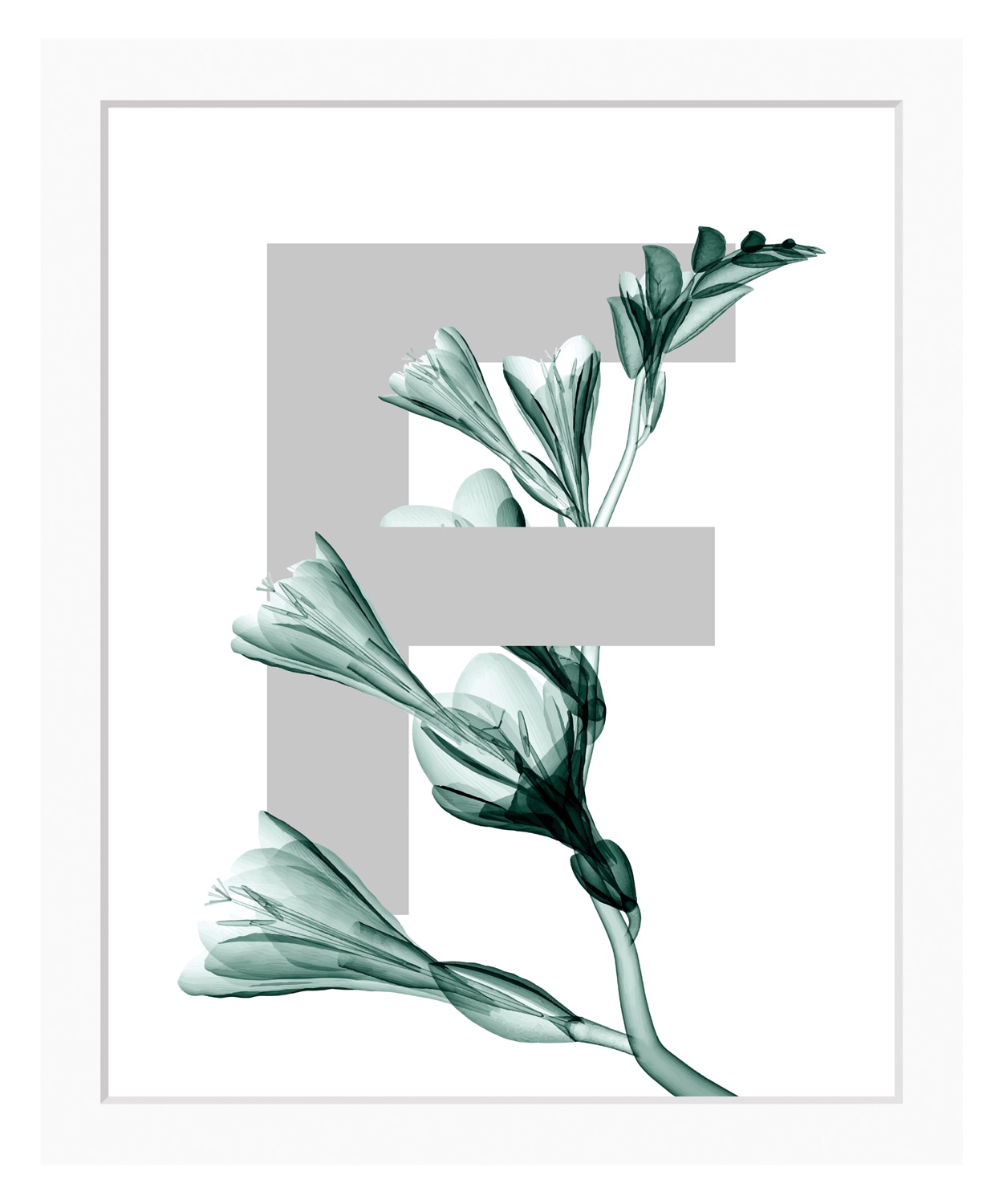 queence Bild »F-Flower«, Buchstaben, gerahmt, Blume, Blätter queence Bild »F-Flower«, Buchstaben, gerahmt, Blume, Blätter von queence