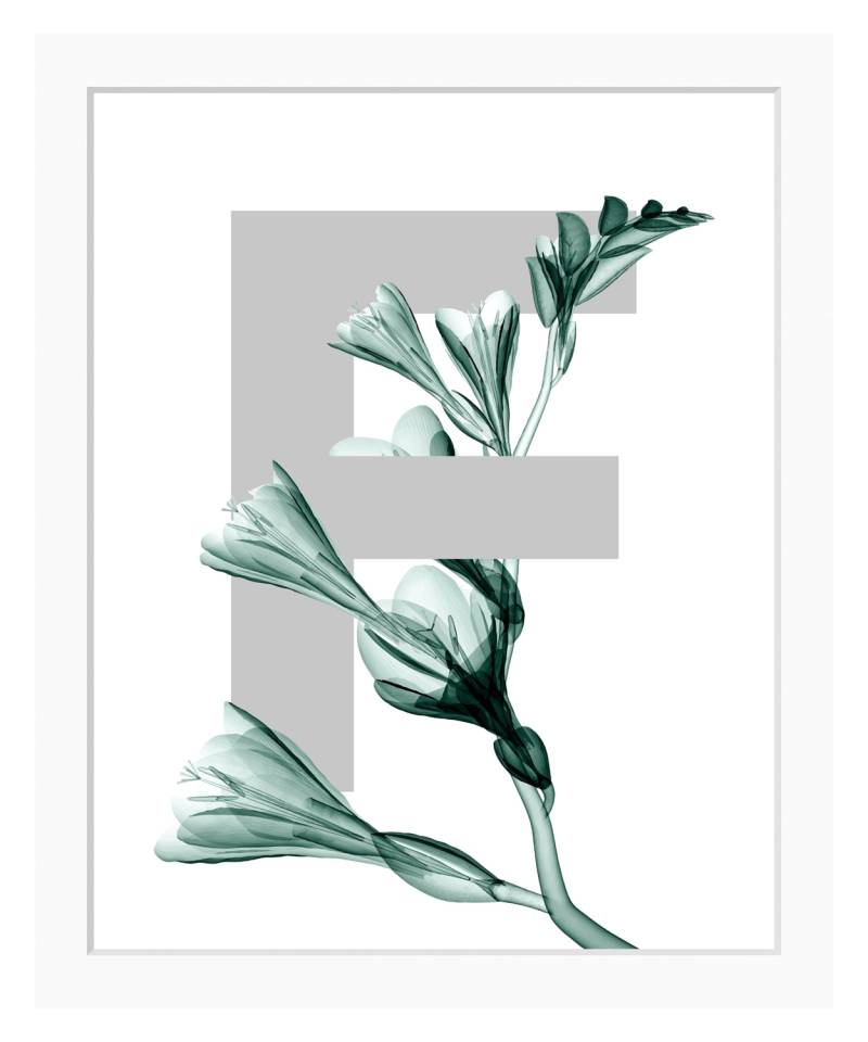 queence Bild »F-Flower«, Buchstaben, gerahmt, Blume, Blätter von queence