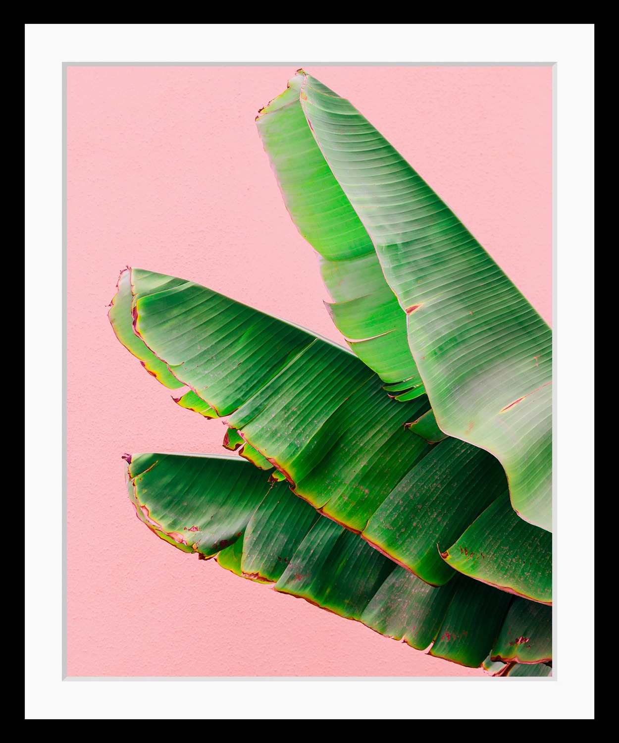 queence Bild »Greta«, HD Premium Poster-Druck inkl. Holzrahmen queence Bild »Greta«, HD Premium Poster-Druck inkl. Holzrahmen von queence