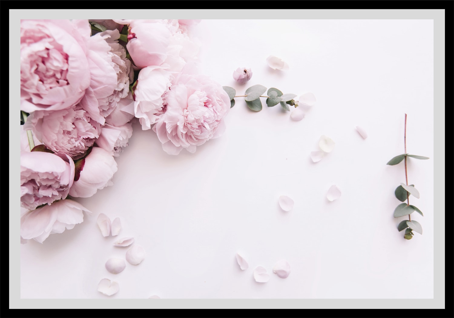 queence Bild »Grete«, Blumen, Rosen, gerahmt queence Bild »Grete«, Blumen, Rosen, gerahmt von queence