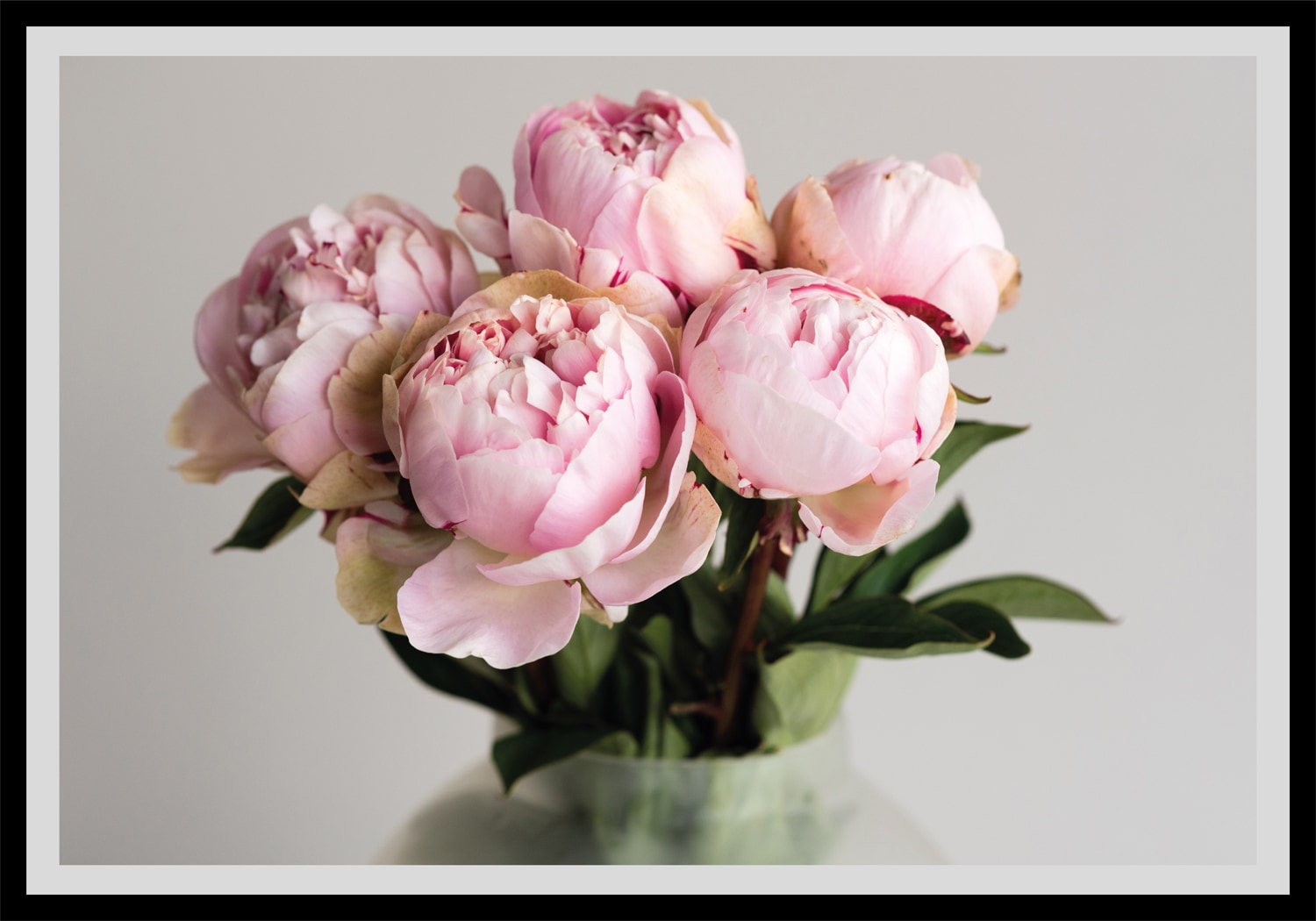 queence Bild »Gudrun«, Blumen, gerahmt, Rosen queence Bild »Gudrun«, Blumen, gerahmt, Rosen von queence