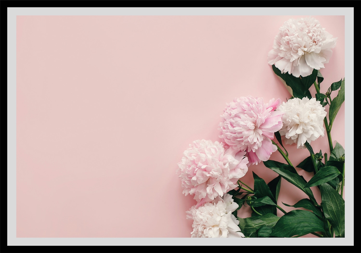 queence Bild »Gunda«, Blumen, Rosen, gerahmt queence Bild »Gunda«, Blumen, Rosen, gerahmt von queence