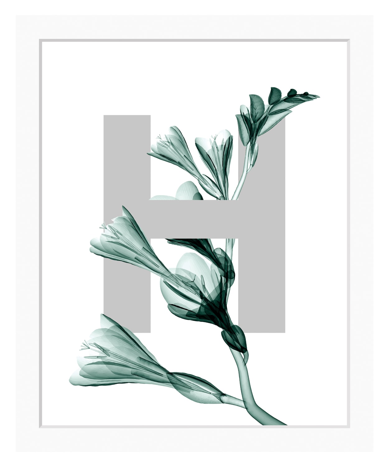 queence Bild »H-Flower«, Buchstaben, Blätter, gerahmt, Blume von queence