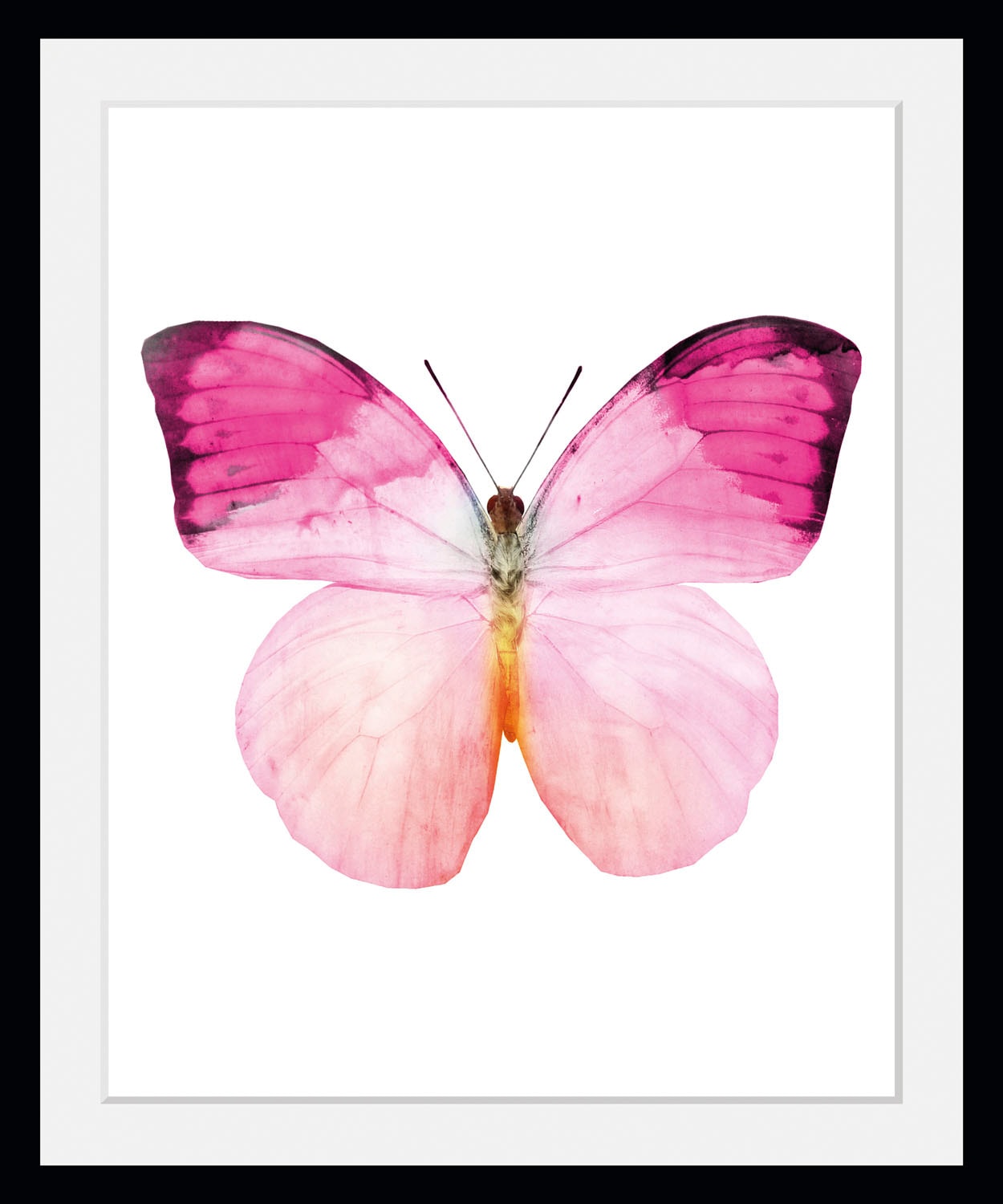 queence Bild »Jody«, Schmetterlinge-Kunst-Insekten, (1 St.), HD Premium Poster-Druck inkl. Holzrahmen von queence