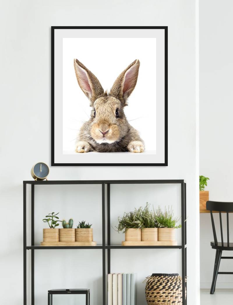 queence Bild »Joona«, Hase-Hasen-Foto-Kunst-Haustiere, (1 St.), HD Premium Poster-Druck inkl. Holzrahmen von queence