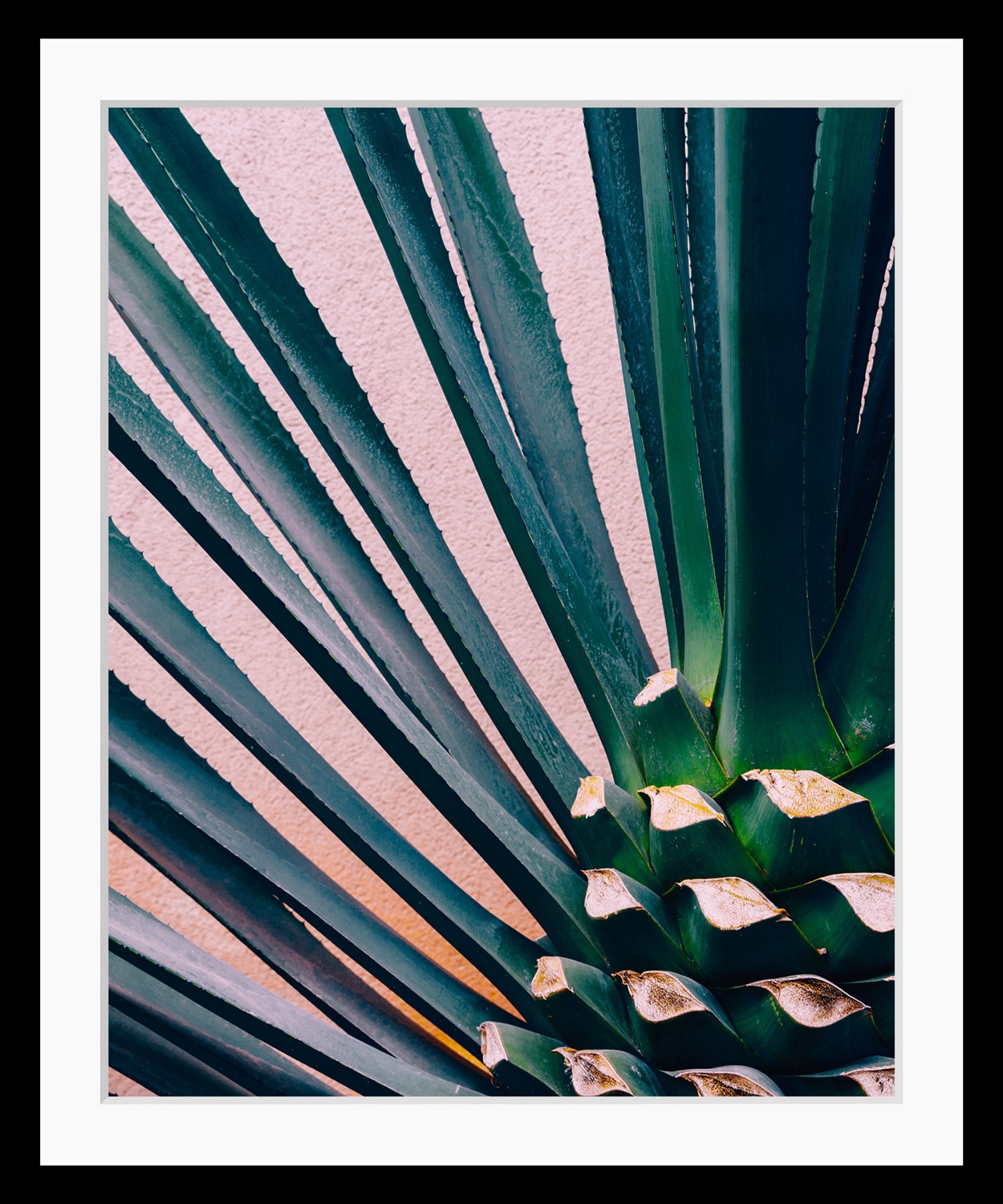 queence Bild »Kim«, Blätter-Palmen-Stechpalmen-Foto-Kunst, HD Premium Poster-Druck inkl. Holzrahmen queence Bild »Kim«, Blätter-Palmen-Stechpalmen-Foto-Kunst, HD Premium Poster-Druck inkl. Holzrahmen von queence