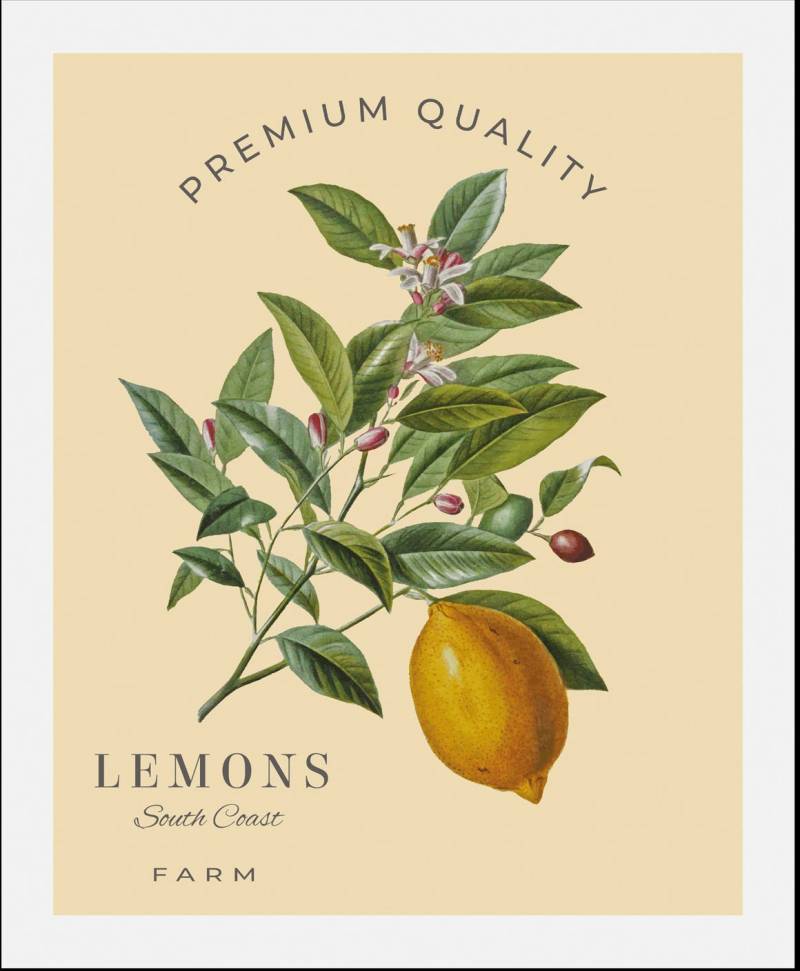 queence Bild »Lemons«, (1 St.), gerahmt von queence