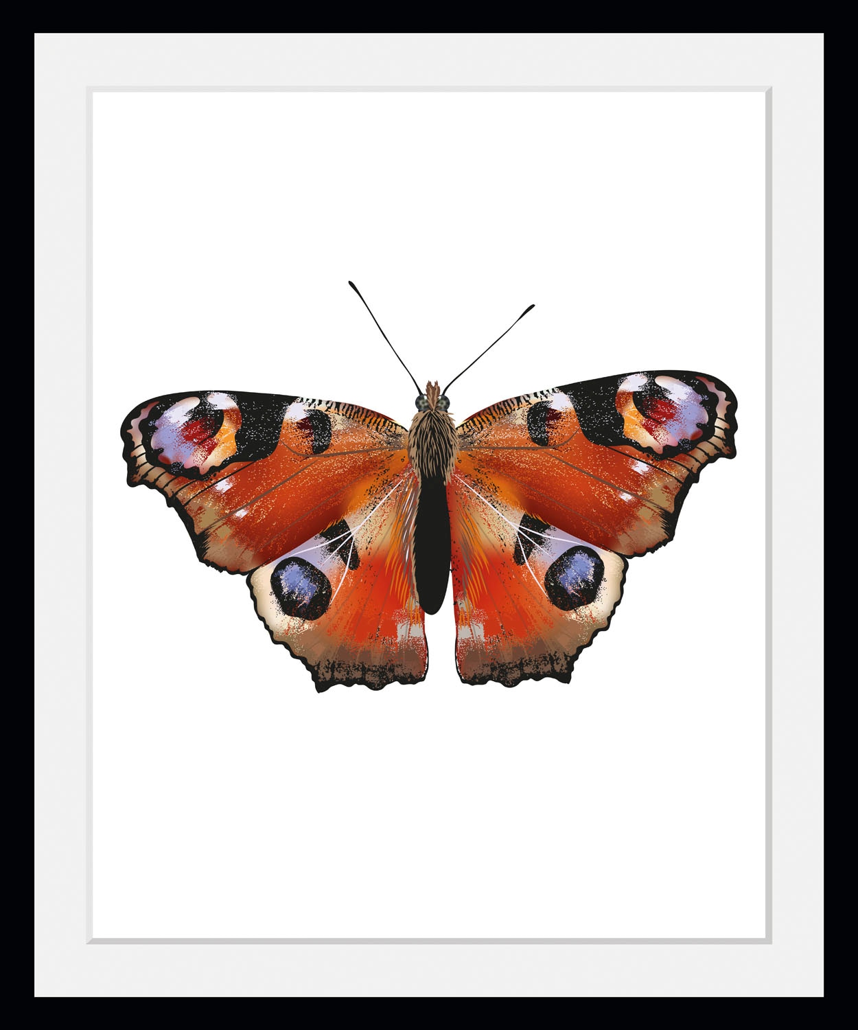 queence Bild »Lena«, Schmetterlinge-Kunst-Insekten-historische Ereignisse, (1 St.), HD Premium Poster-Druck inkl. Holzrahmen von queence