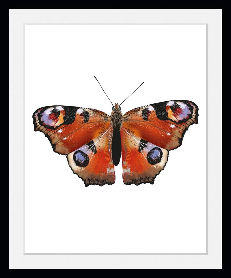 queence Bild »Lena«, Schmetterlinge-Kunst-Insekten-historische Ereignisse, (1 St.), HD Premium Poster-Druck inkl. Holzrahmen von queence