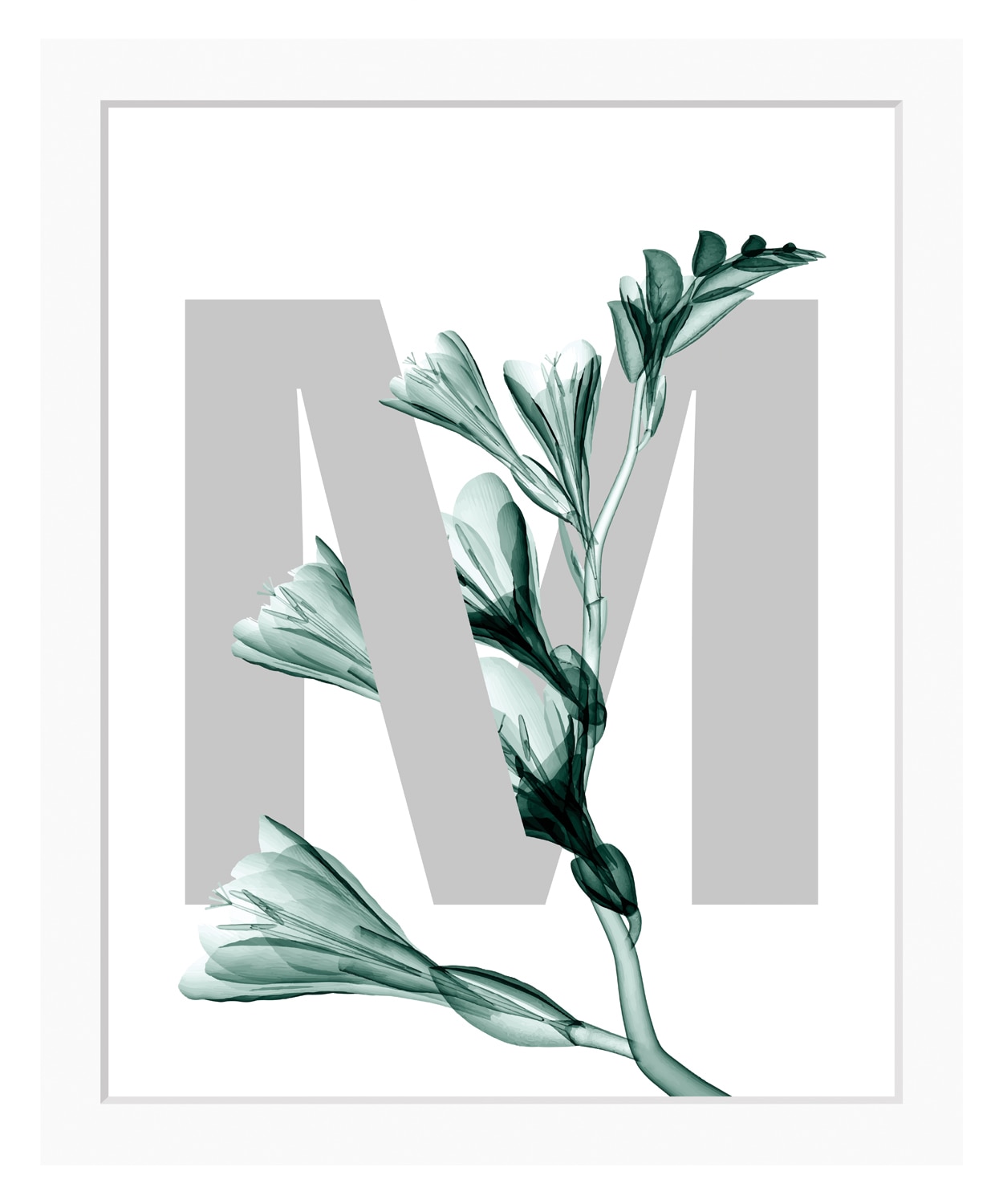 queence Bild »M-Flower«, Buchstaben, Blume, gerahmt, Blätter queence Bild »M-Flower«, Buchstaben, Blume, gerahmt, Blätter von queence