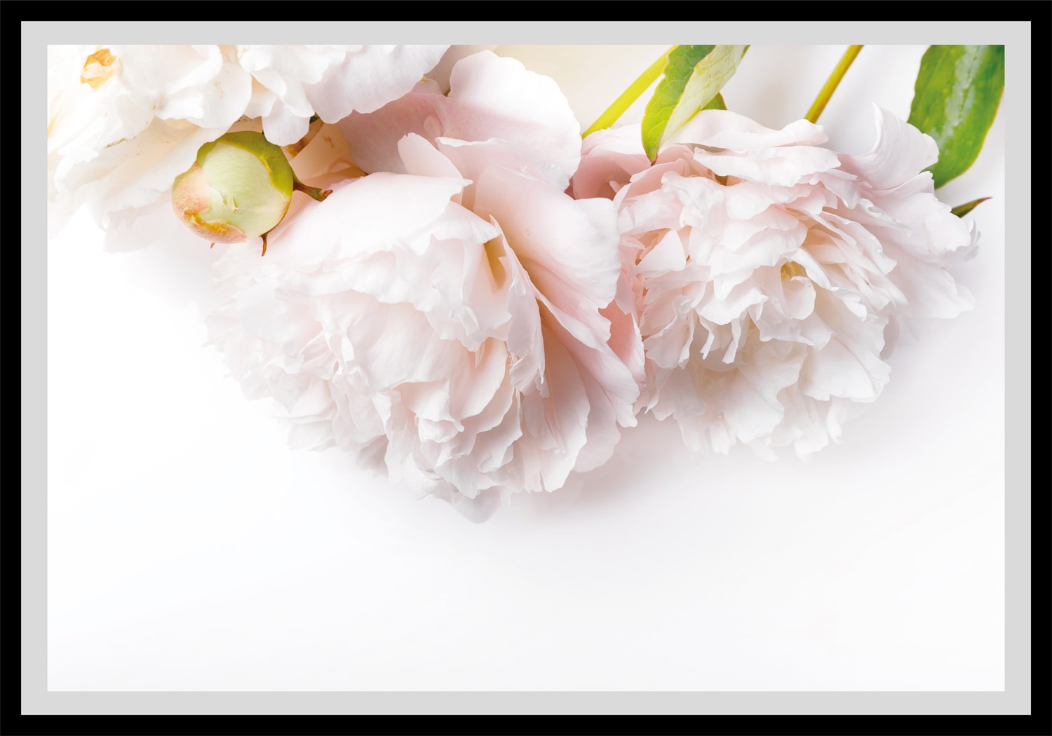 queence Bild »Maike«, Blumen, gerahmt, Rosen queence Bild »Maike«, Blumen, gerahmt, Rosen von queence