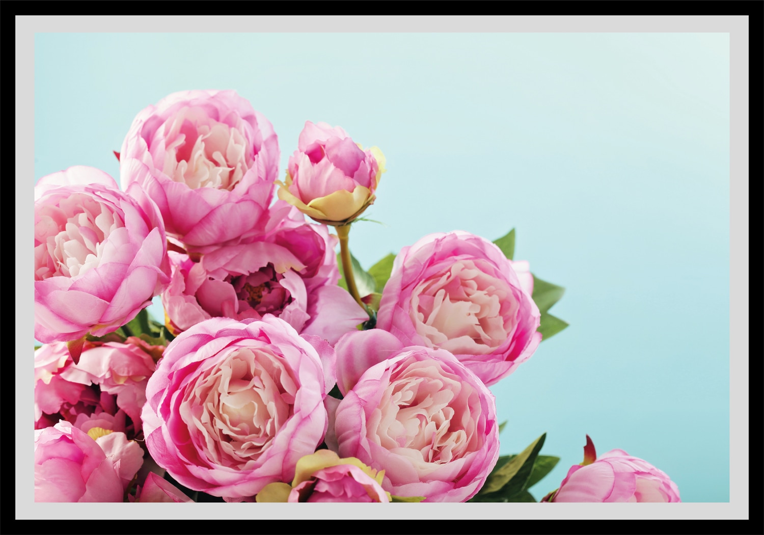 queence Bild »Marisa«, Blumen, gerahmt, Rosen queence Bild »Marisa«, Blumen, gerahmt, Rosen von queence