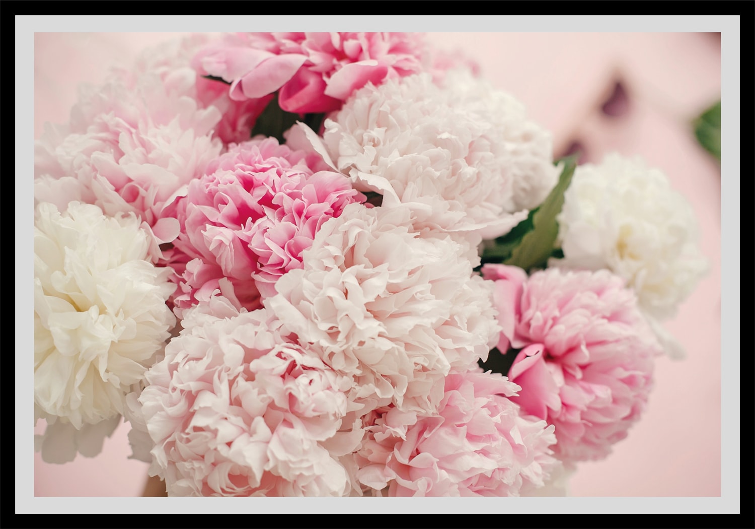 queence Bild »Martin«, Blumen, gerahmt, Rosen queence Bild »Martin«, Blumen, gerahmt, Rosen von queence