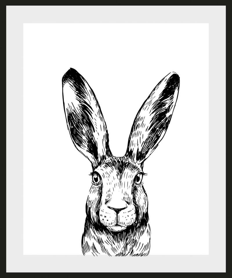 queence Bild »Matias«, Hase-Hasen-Schwarz-Weiss-Kunst-Haustiere, (1 St.), HD Premium Poster-Druck inkl. Holzrahmen von queence