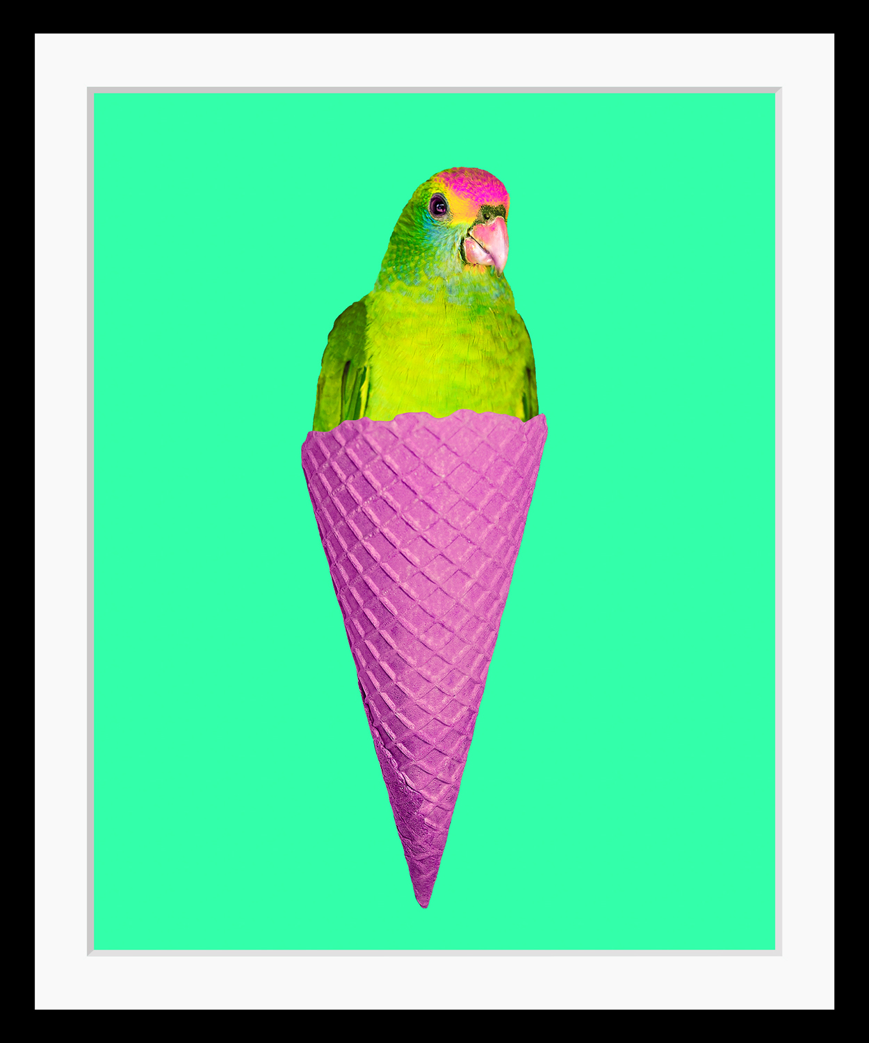 queence Bild »Merle«, Eis-Vögel-Vogelbilder-Süssigkeiten-Süssspeisen-Foto-Kunst-Papageien, HD Premium Poster-Druck inkl. Holzrahmen queence Bild »Merle«, Eis-Vögel-Vogelbilder-Süssigkeiten-Süssspeisen-Foto-Kunst-Papageien, HD Premium Poster-Druck inkl. Holzrahmen von queence